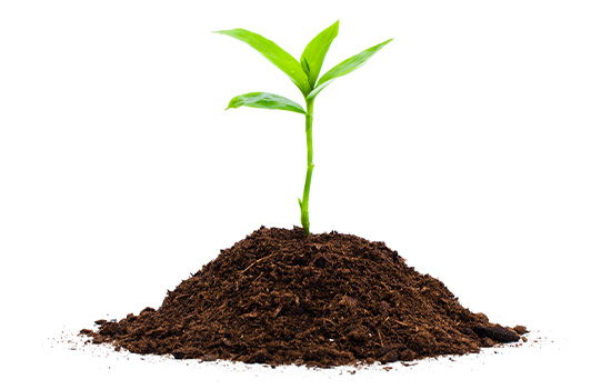 Petit plant dans la terre, symbole de l'engagement ESG de ResMed