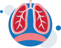 ventilation-respiration-normale poumons-illustration