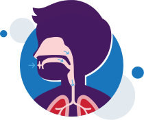 ventilation-respiration-normale - système respiratoire-illustration